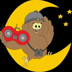 LOGO DELLA  NOTTE DELLA CIVETTA