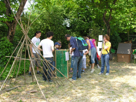 BACHECA DEGLI INSETTI STECCO