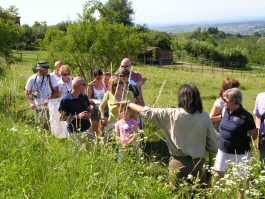 VISITA GUIDATA