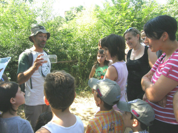 FESTA DELLE FARFALLE A VILLA PAOLINA