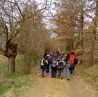 FESTA ALBERI 2006