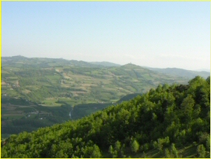 IL BOSCO DELLA LUJA